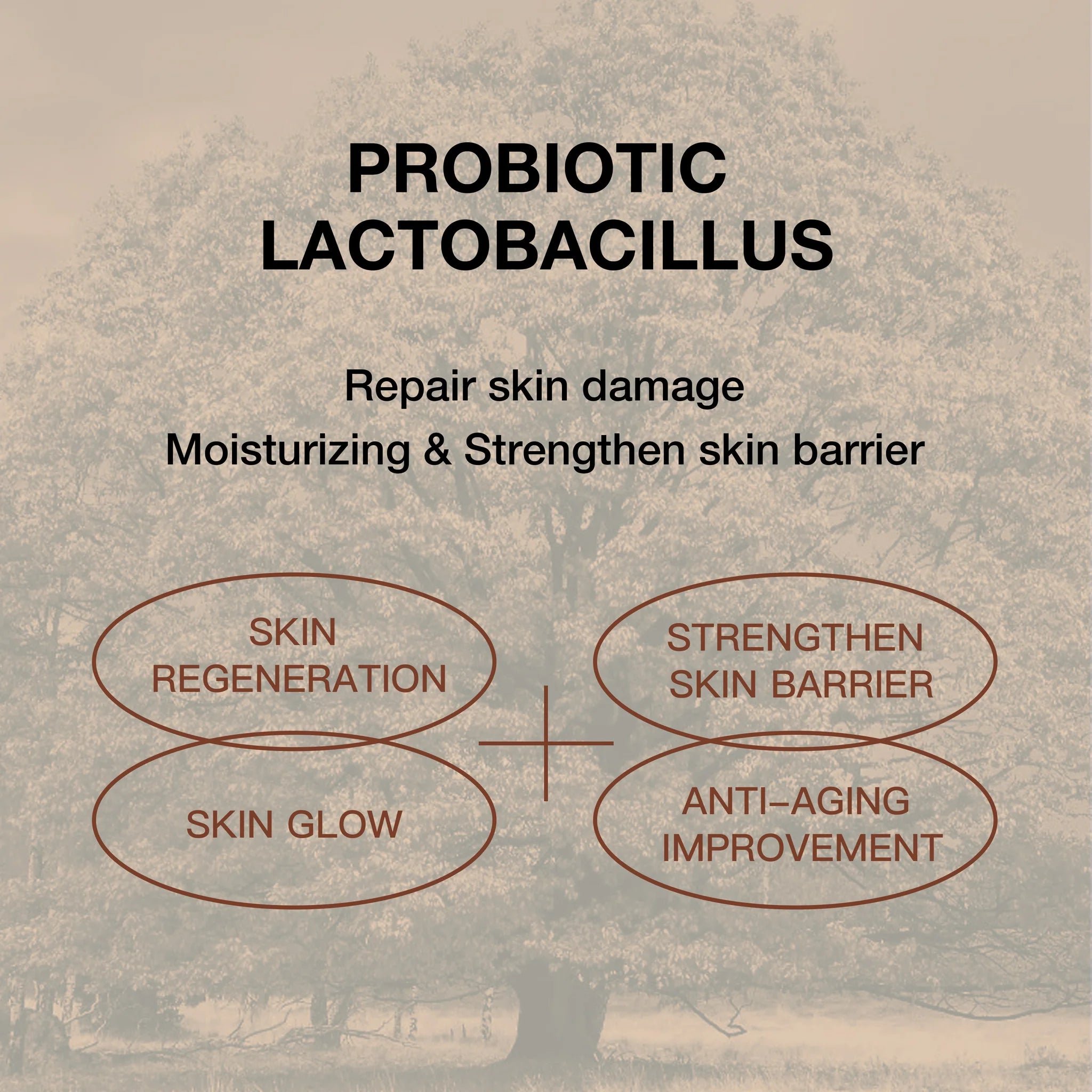 Aroh Probiotics Brightening Sheet Mask 25ml x 10ea