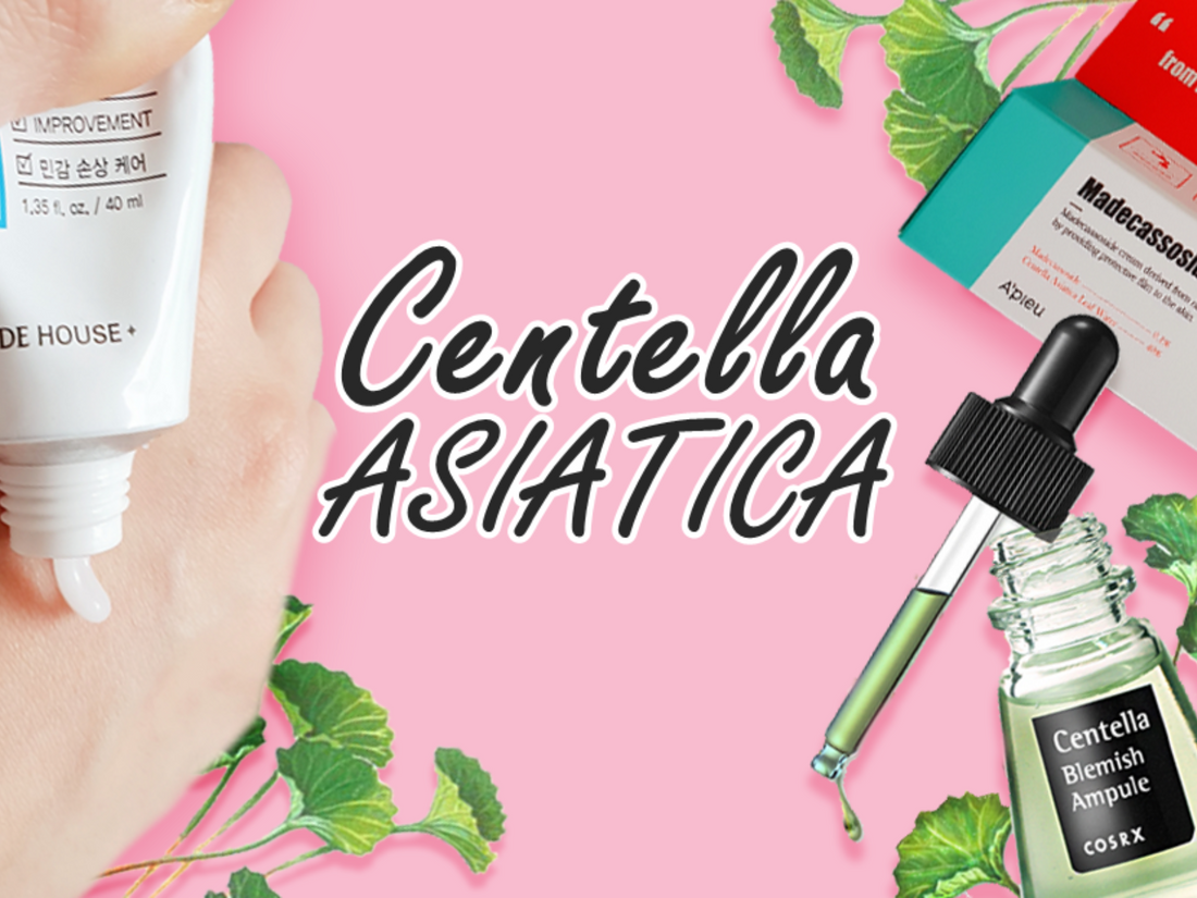 A Soothing Skin Care Routine with Centella Asiatica 🌿
