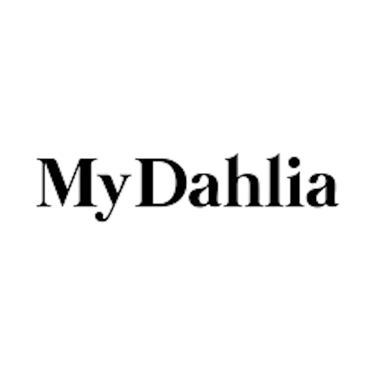 My Dahlia