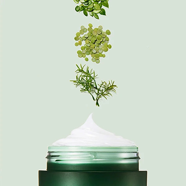 Laneige Cica Sleeping Mask 60ml