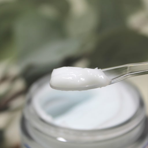 ROUND LAB 韓國 白樺木補水保濕霜 80ml