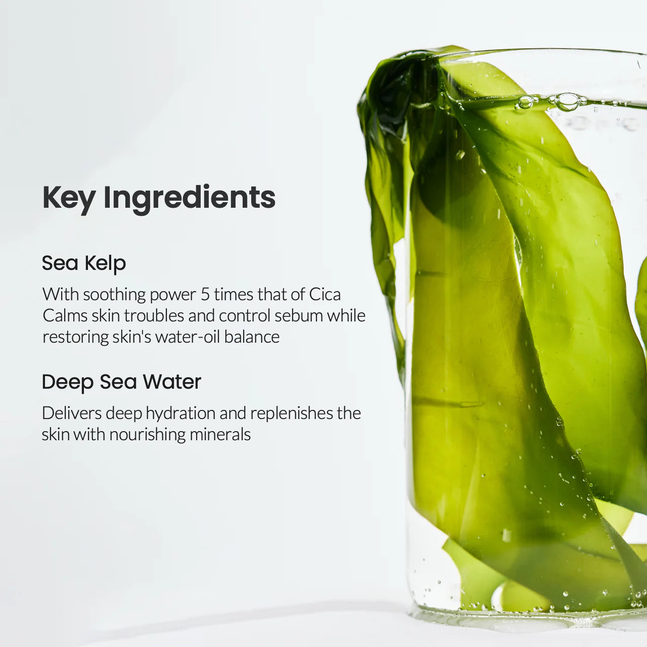 Biodance Refreshing Sea Kelp Real Deep Mask 34g x 4ea