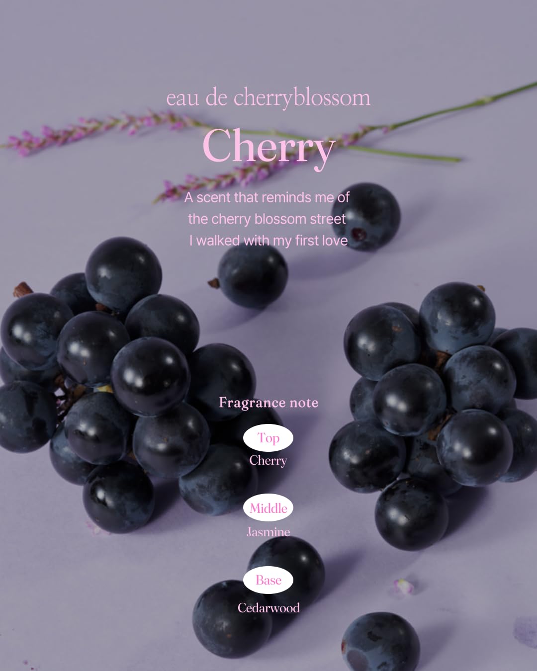 Foellie 韓國 殺菌去異味 女性私密內褲香水 (櫻花味) 5ml