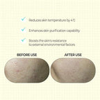 KLAVUU Phytoncide Quick Cleansing Pad 380ml/100ea