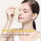 DERMAFiX Perfect Real Performance Vita Collagen Mask 23g x 8ea