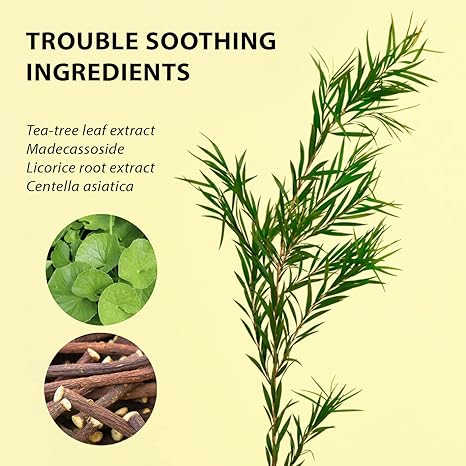 Ample N Acne Shot Ampoule 30ml