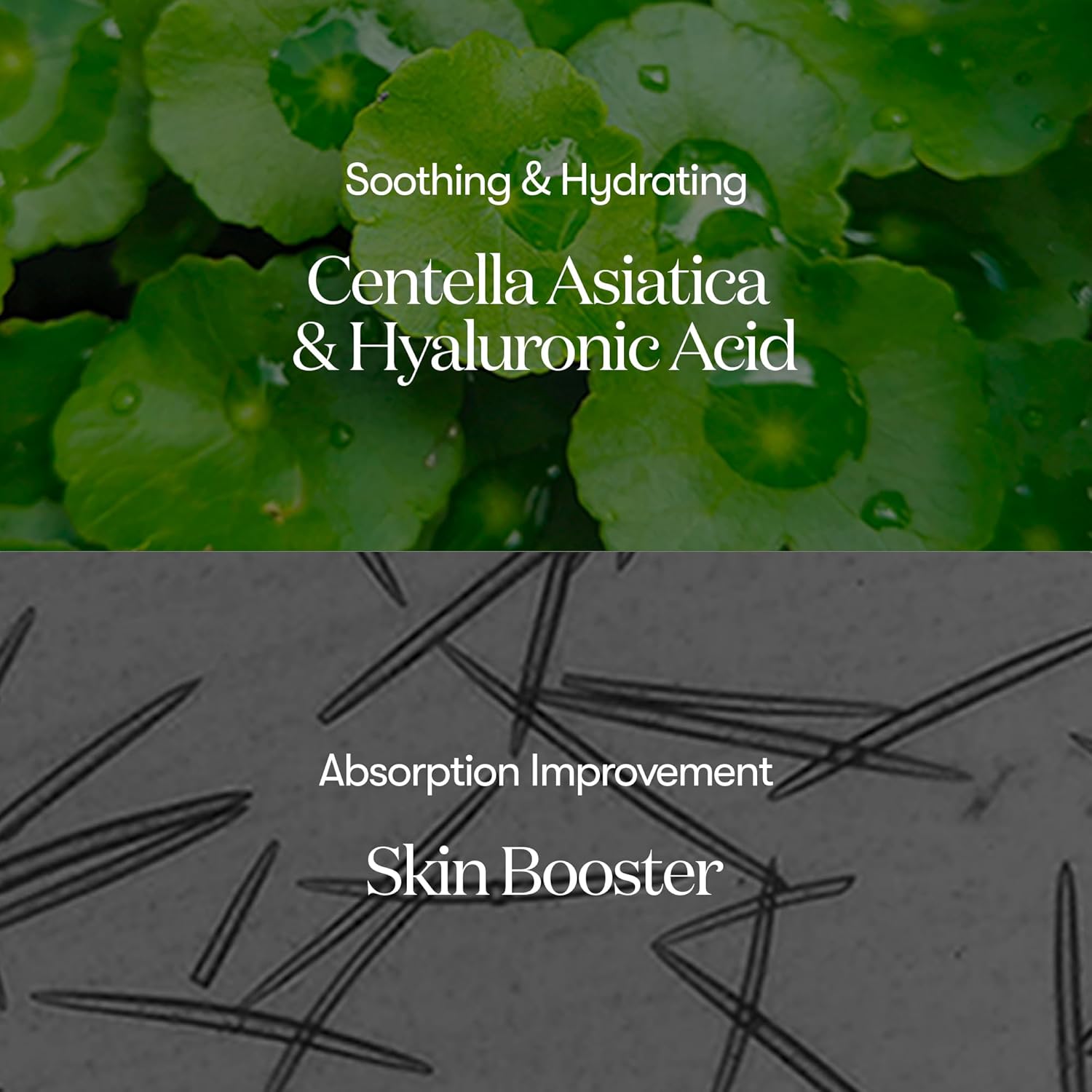 VT 韓國 塗抹式微針精華300 50ml