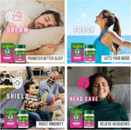 WANG PROM 泰國 摹差寧汪逢 天然草本按摩粉紅油膏 (緩解暈車不適) 50g