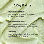 Beplain Mung Bean pH-Balanced Cleansing Foam 80ml