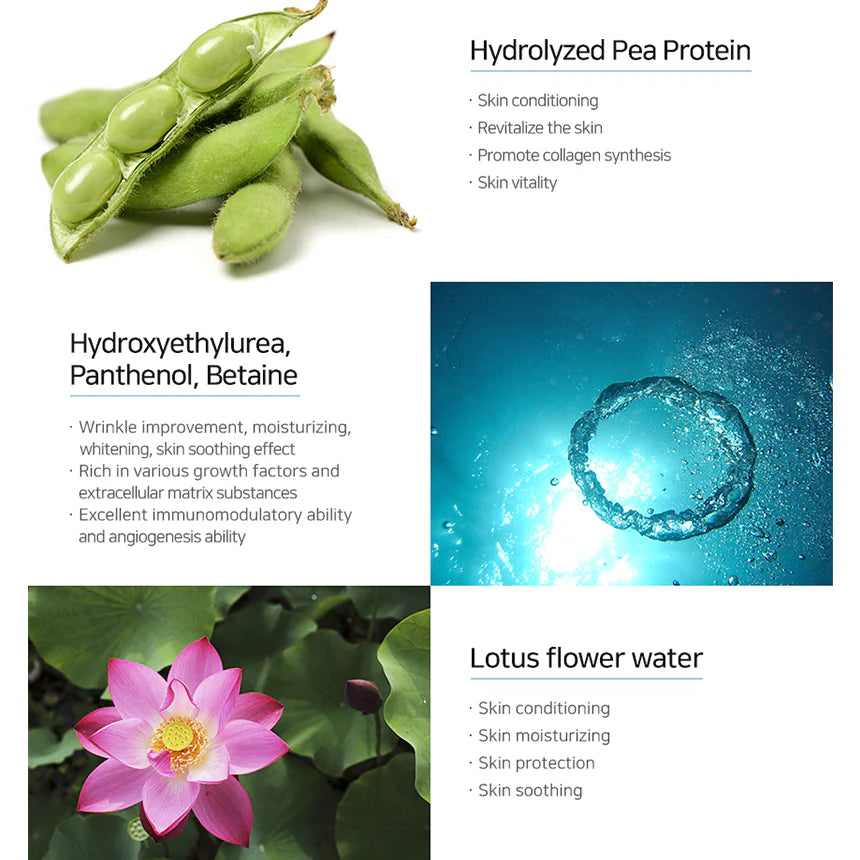 Matrigen 韓國 超強保濕 玻尿酸活細胞精華液 50ml