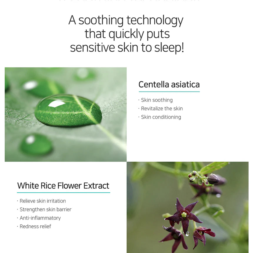 Matrigen 韓國 控油祛痘活性精華 50ml