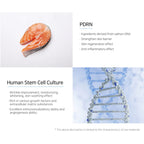 Matrigen Vital Intense Anti-Aging Ampoule 50ml