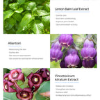 MATRIGEN Azulene Soothing Relaxer Ampoule 50ml