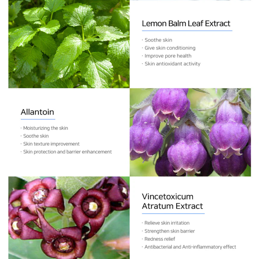 MATRIGEN Azulene Soothing Relaxer Ampoule 50ml