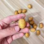 DANCECARE I Potato You Necklace 1ea