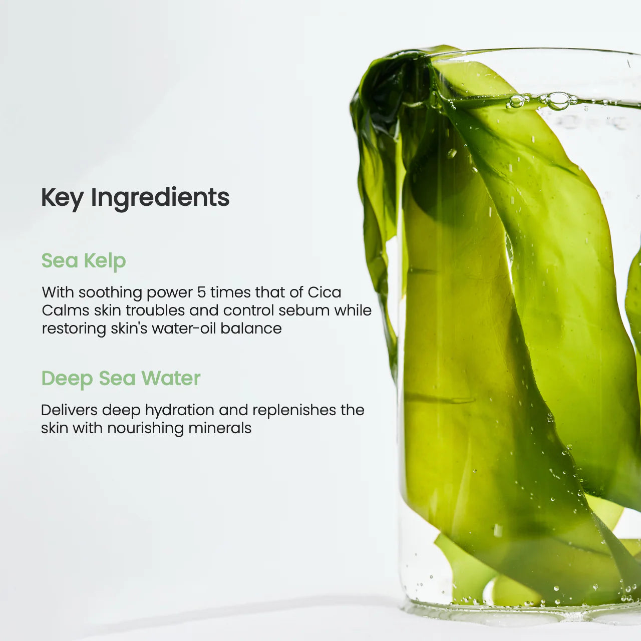 Biodance Refreshing Sea Kelp Real Deep Mask (Blemish Care & Sebum Control) 34g x 4