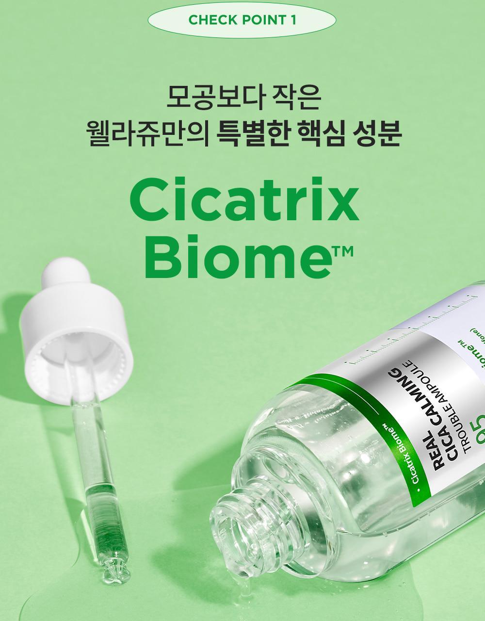 WELLAGE Real Cica Calming 95 Trouble Ampoule 50ml