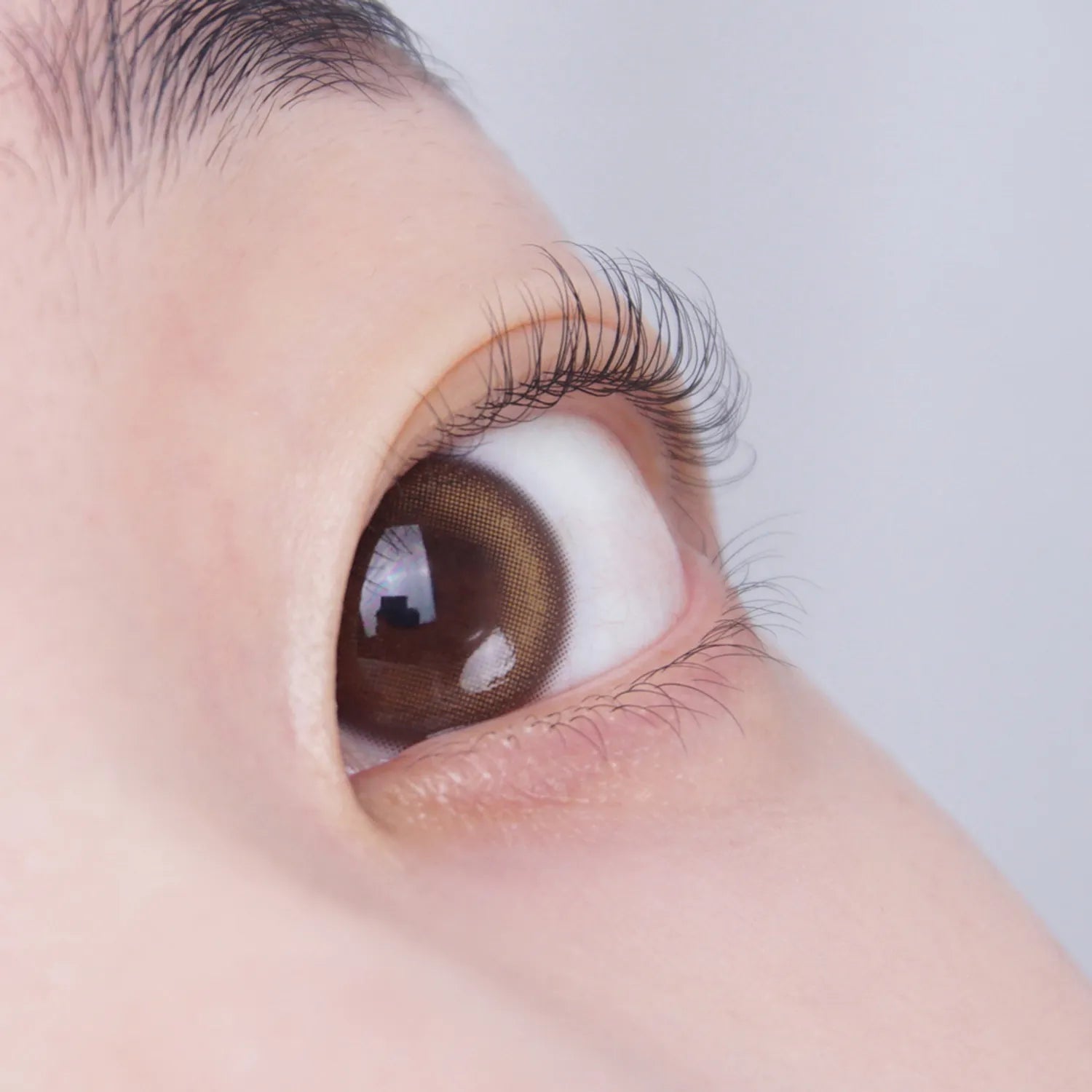 Fillimilli Mini Heated Eyelash Curler 1ea