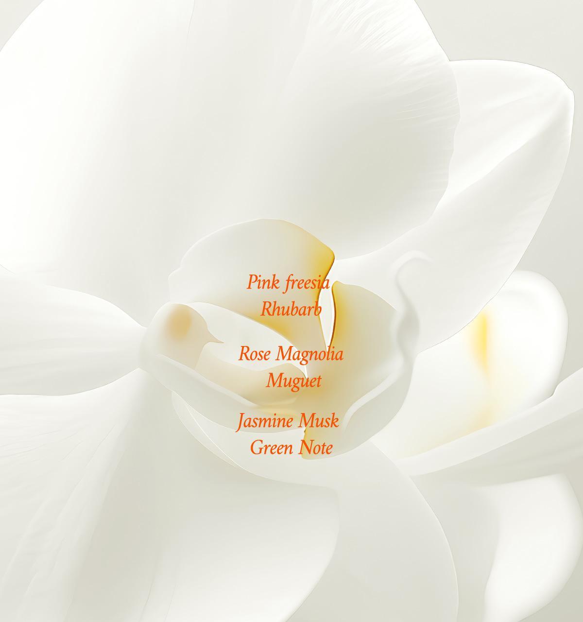 Forment Signature Perfume (Cotton Delight Bouquet) 50ml