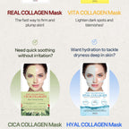 DERMAFiX Collagen + HA Perfect Real Performance Hyal Mask 8ea