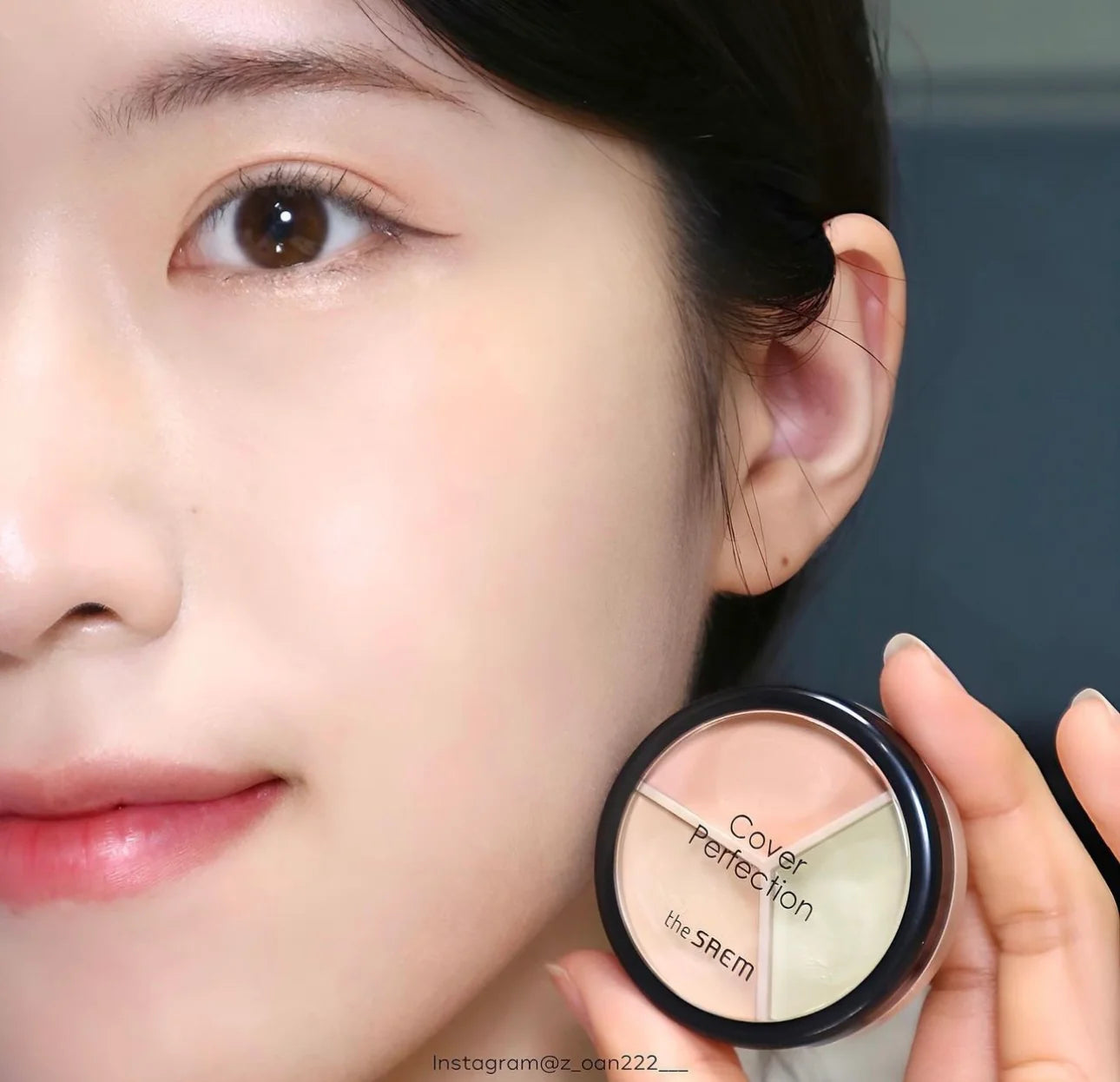 The Saem Cover Perfection Triple Pot Concealer 4.5g