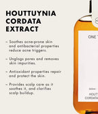 ONE THING Houttuynia Cordata Extract Toner 150ml