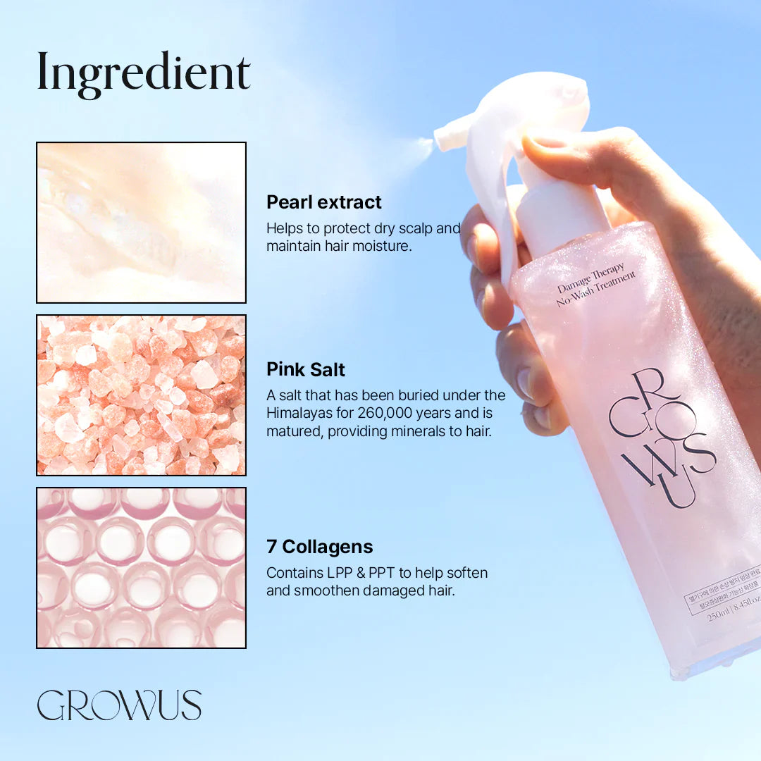 GROWUS Damage Therapy No-Wash Treatment EX 250ml