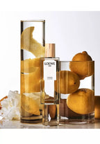 Loewe 001 Women Eau De Toilette Spray (Fresh Woody Floral) 100ml