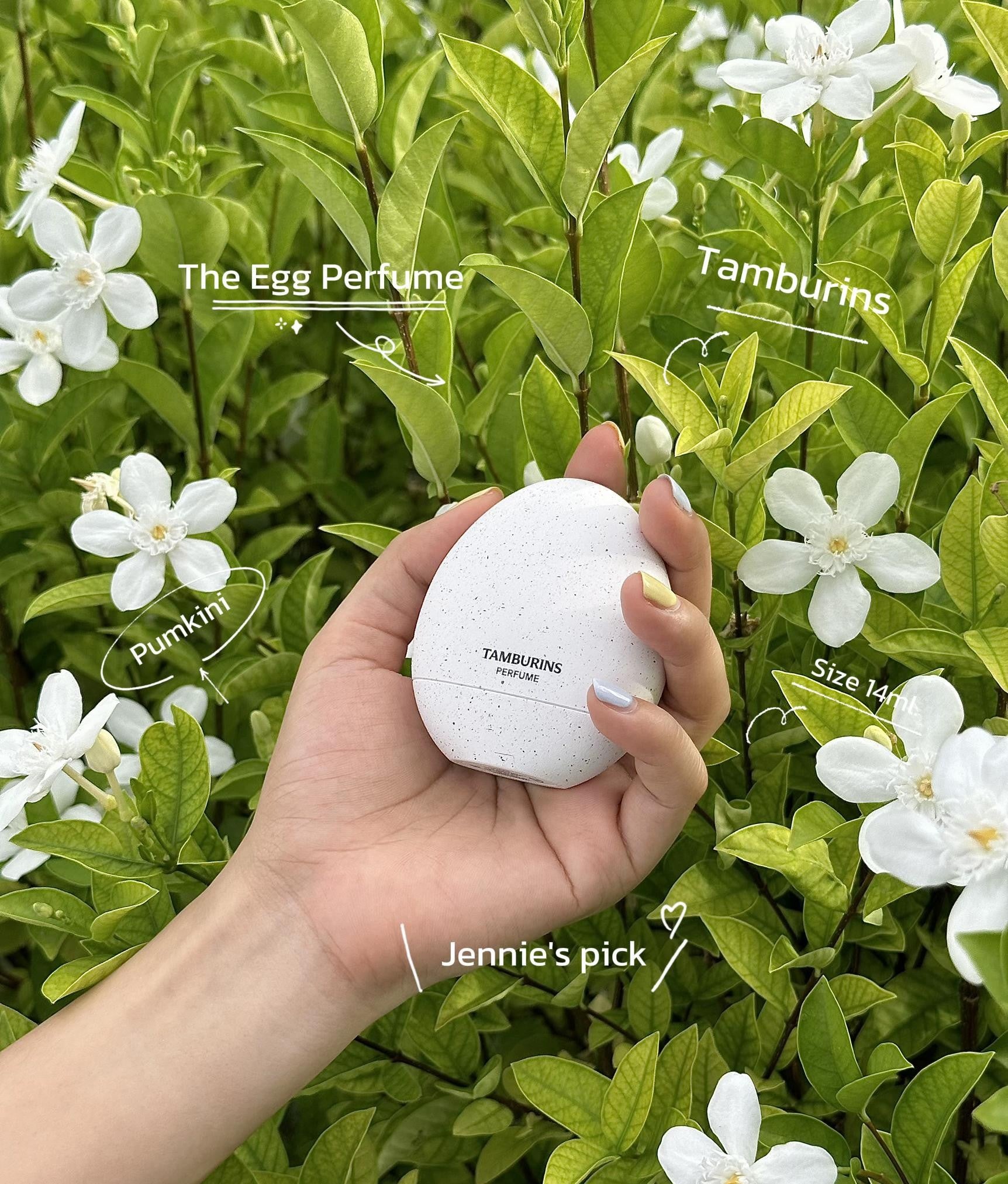 Tamburins Pumkini Egg Perfume (Jennie Pick!) 14ml