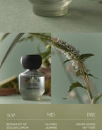 After Blow Eau De Perfume (#01 Tender Wood) 25ml