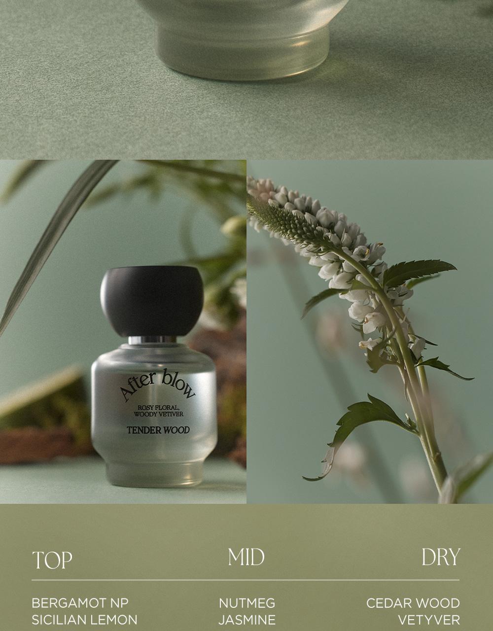 After Blow Eau De Perfume (#01 Tender Wood) 25ml