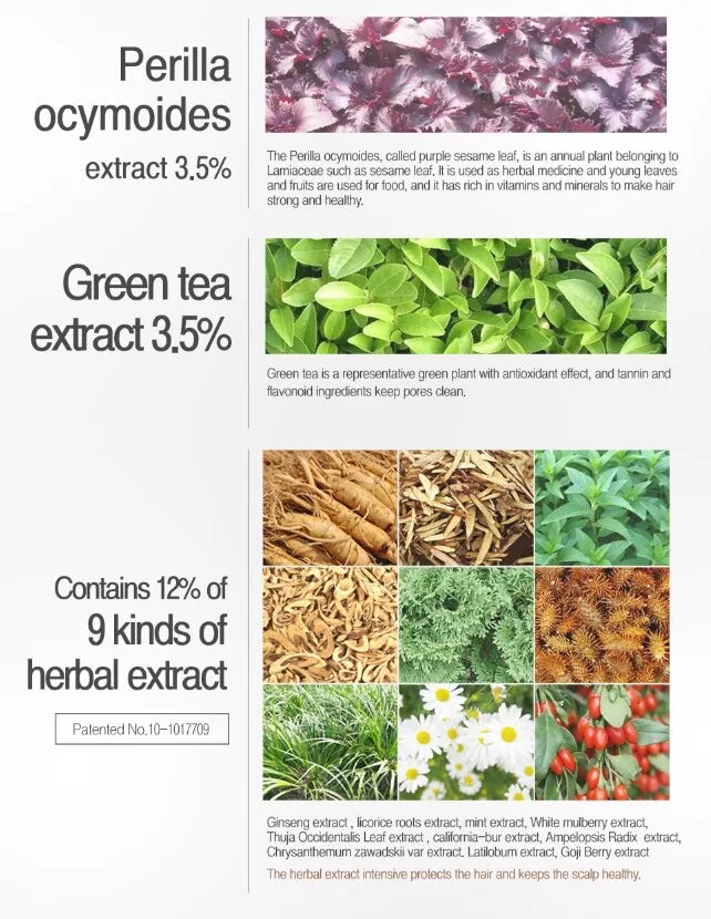 DayCell MBA MoBalA Scalp & Hair Treatment Tonic 150ml