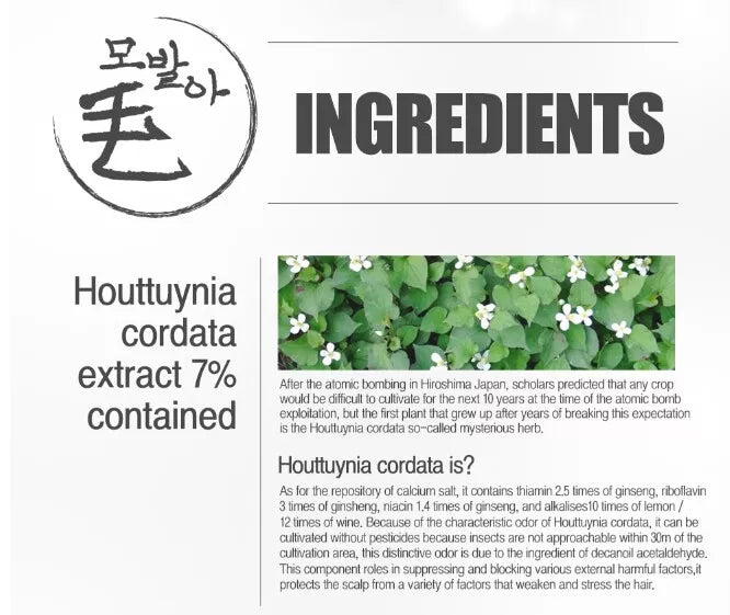 DayCell MBA MoBalA Scalp & Hair Treatment Tonic 150ml