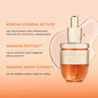 雪花秀 韓國 滋陰生人參煥顏高效精華液 20g