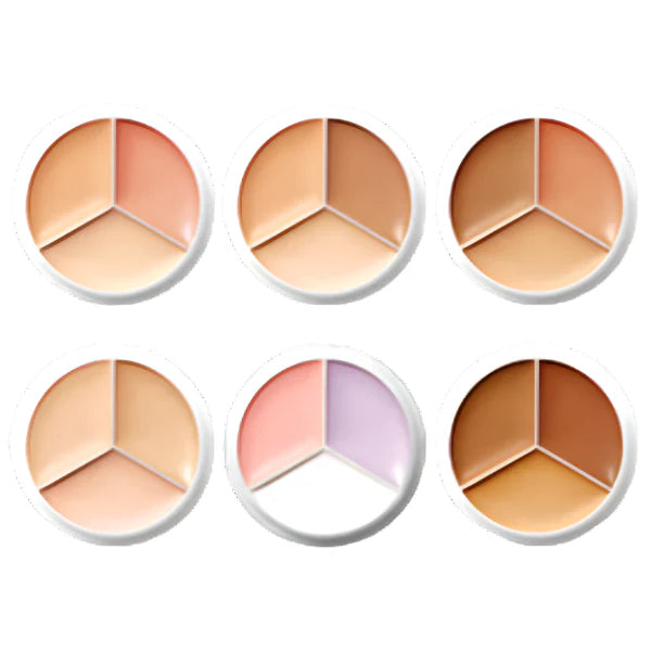 TFIT Cover Up Pro Concealer 15g