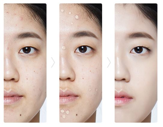 The Saem Cover Perfection Triple Pot Concealer 4.5g